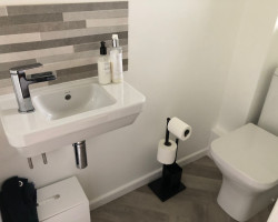 toilet renovation image 11