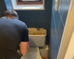 toilet renovation image 2